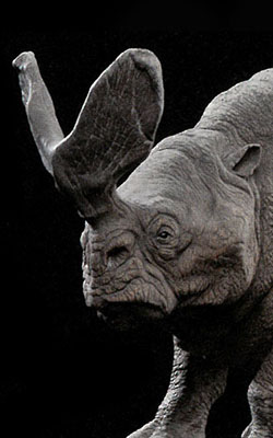 Brontotherium